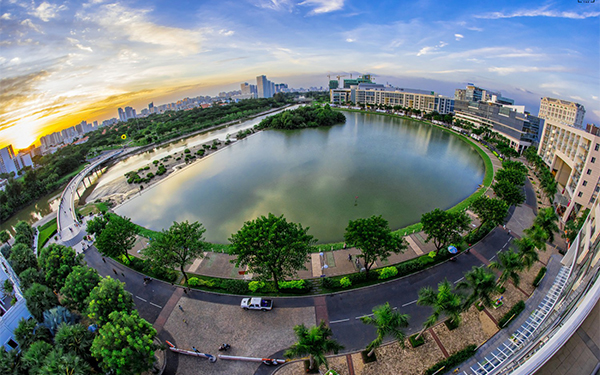 Ở ngay Sài Gòn tấp nập ồn ào có một hồ bán nguyên yên tĩnh lạ kỳ