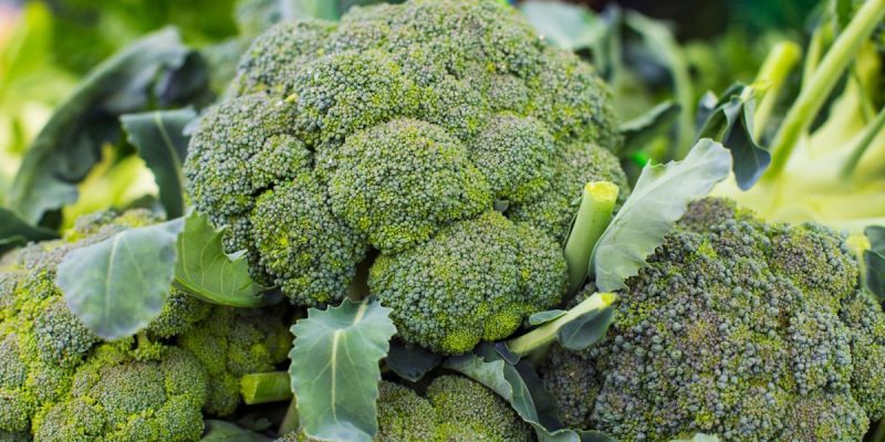 Top 4 loại rau cải xanh hiệu quả tốt trong việc chữa bệnh